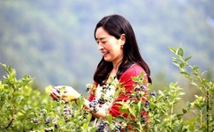 穿成前任叔叔的掌心娇全文免费阅读